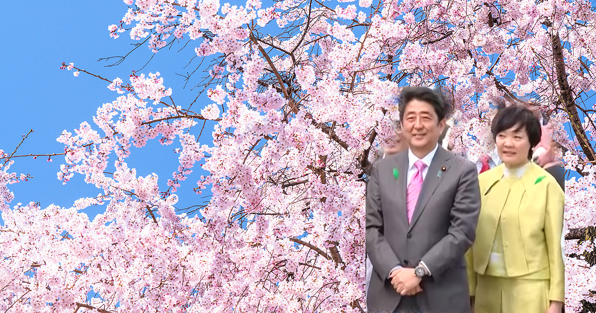 桜と安倍総理夫妻
