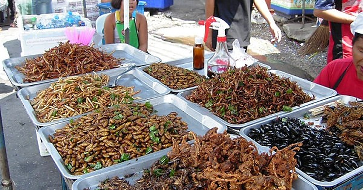 昆虫が売られているタイの市場