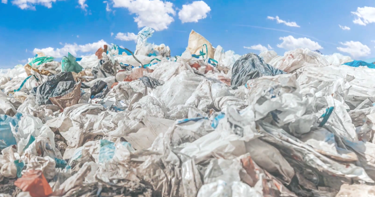 廃棄されるプラスチックによる環境汚染