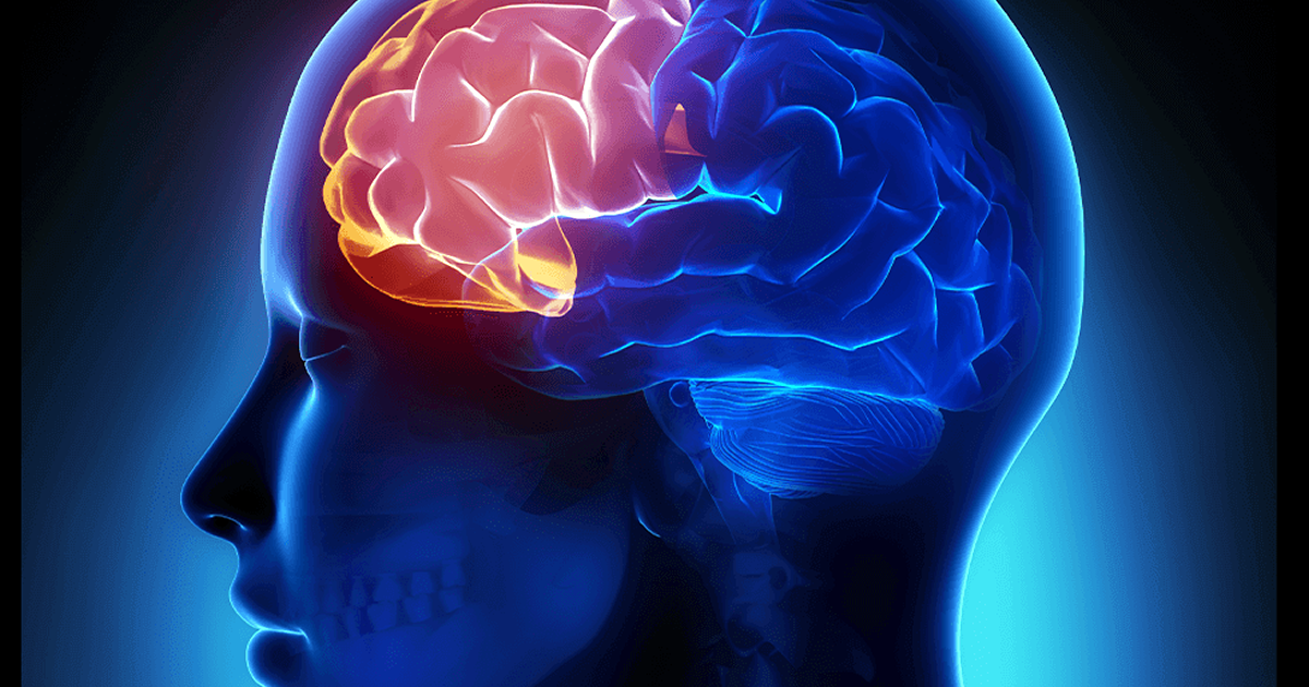 脳の中で一番老化が早い「前頭葉」をトキメキで鍛えて老化を予防