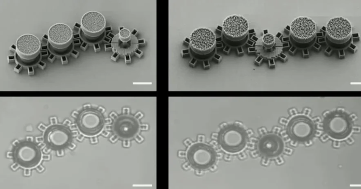 回転力はどこから？光の力でだけ動く不思議な歯車が開発される