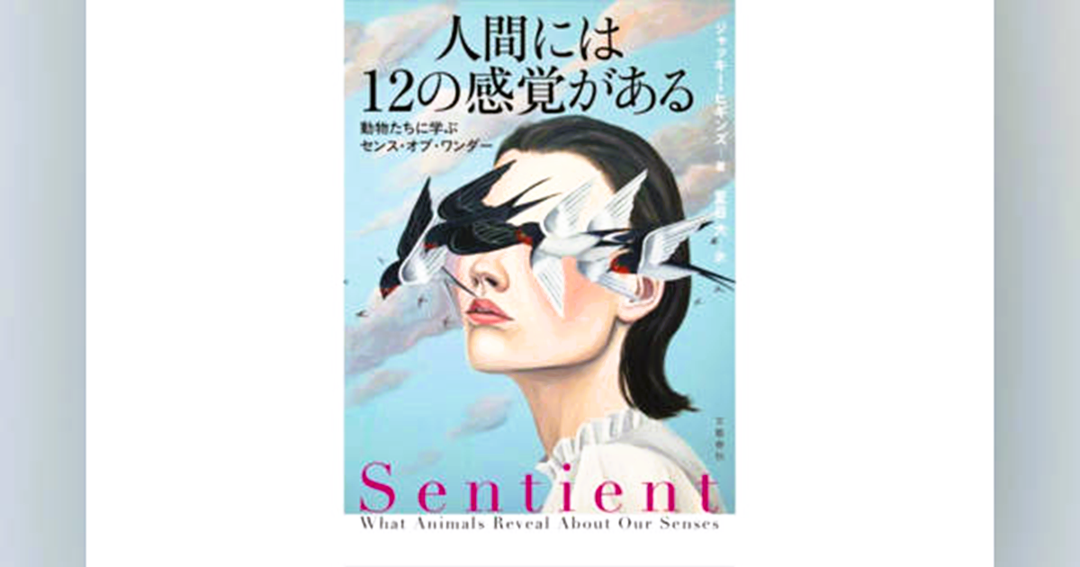 わたしたち人間はなんと12もの〈超感覚〉を秘めていた…！