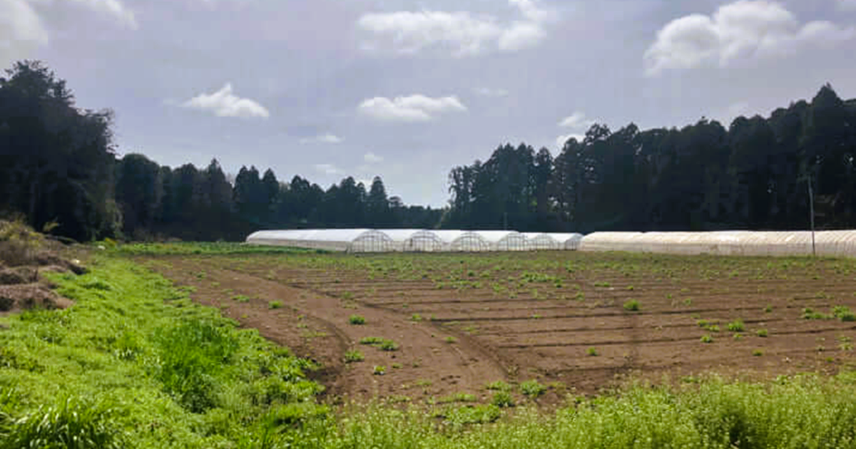 中国人農家が今以上に台頭するかも